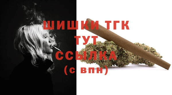 стаф Михайловск
