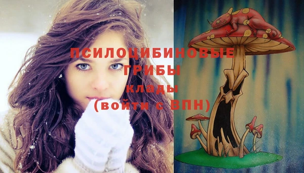 дживик Михайловка