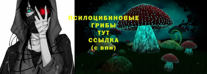 Галлюциногенные грибы Magic Shrooms  сколько стоит  Кемь 